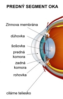 predný segment oka