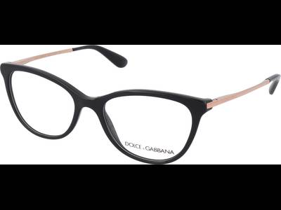 Dolce & Gabbana DG3258 501