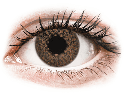 TopVue Color - Brown - dioptrické (2 šošovky) - Coloured contact lenses