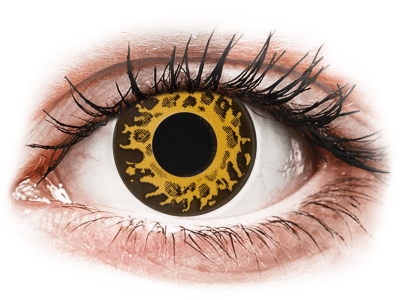 CRAZY LENS - Cheetah - nedioptrické jednodenné (2 šošovky) - Coloured contact lenses