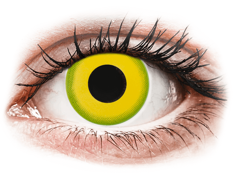 CRAZY LENS - Forest Children - nedioptrické jednodenné (2 šošovky) - Coloured contact lenses