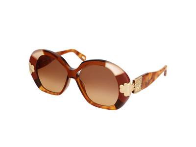 Slnečné okuliare Chloe CE743S 245